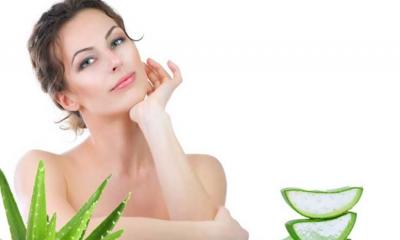 শীতে আসছে, ত্বকের সুস্থতায় বেছে নিন অ্যালোভেরা