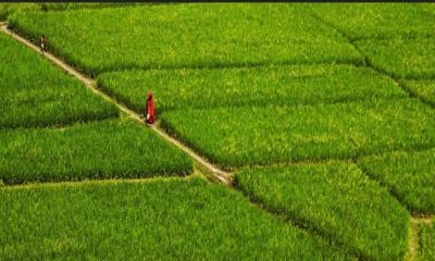 জমির মালিকদের জন্য আসছে বড় দুঃসংবাদ