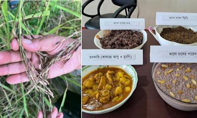 কালো চাল থেকে বিরিয়ানি, খিচুড়ি, চিড়া, মুড়ি ও কেক উদ্ভাবন