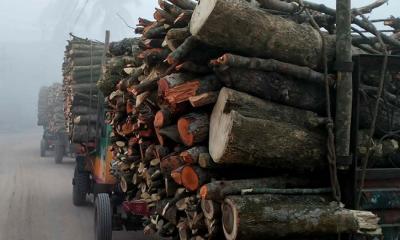 কৃষি জমি নষ্ট করে চলছে অবৈধ ইটভাটা