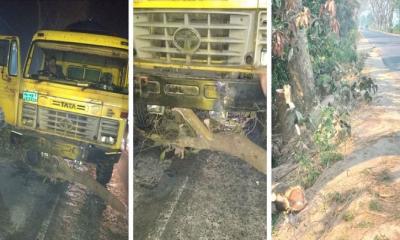 মধ্যরাতে সড়কে গাছ ফেলে ৪০ গাড়িতে ডাকাতি