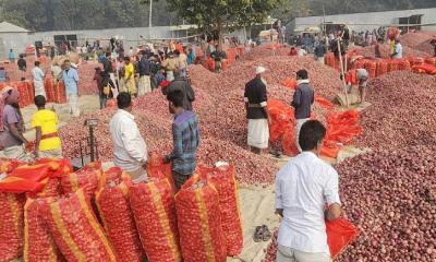 ভারত থেকে শিগগিরই আসবে ৫২ হাজার টন পেঁয়াজ