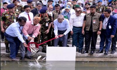 বঙ্গভবনের সিংহ পুকুরের মাছের পোনা অবমুক্ত করলেন রাষ্ট্রপতি