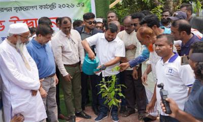 রাজশাহীতে ২ লাখ ৫০ হাজার গাছ লাগানোর লক্ষ্যমাত্রা