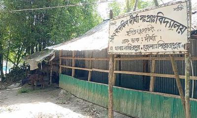 পাঁচ শিক্ষার্থীর জন্য চার শিক্ষক, পাশে গরুর খামার