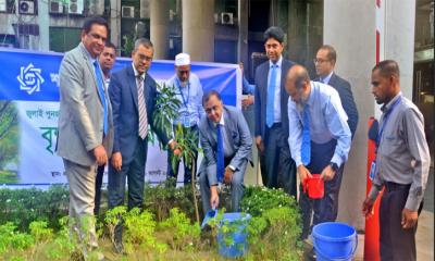 শাহ্জালাল ইসলামী ব্যাংকের বৃক্ষরোপণ কর্মসূচির আয়োজন