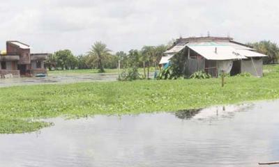 টানা বৃষ্টিতে তলিয়ে গেছে সাতক্ষীরার নিম্নাঞ্চল
