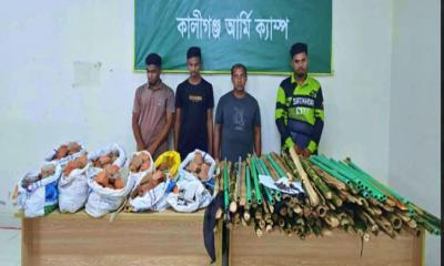 সাতক্ষীরায় বিএনপির দুই গ্রুপের উত্তেজনা, গ্রেপ্তার চার