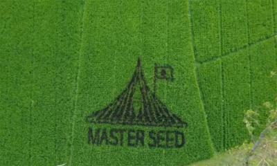 ধানক্ষেতে স্মৃতিসৌধের নকশা ফুটালেন স্কুল শিক্ষক