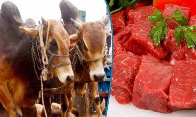 কোরআন-হাদিসের আলোকে কোরবানির মাংস বণ্টনের সুনির্দিষ্ট নিয়ম