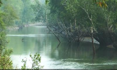 তিনমাস পর খুলে দেওয়া হচ্ছে সুন্দরবন