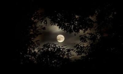 বছরের দীর্ঘতম রাত আজ