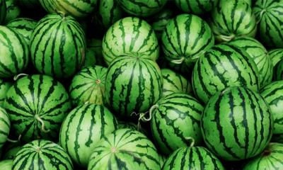 তরমুজ কেজি দরে বিক্রি করা যাবে না