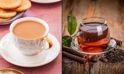 সকালে দুধ চা নাকি লিকার চা, কোনটি বেশি উপকারী