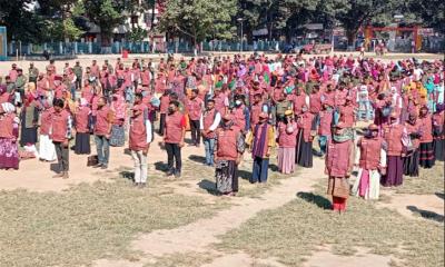 ঠাকুরগাঁওয়ে উপনির্বাচনে ২,৪০৫ আনসার-ভিডিপি সদস্য মোতায়েন