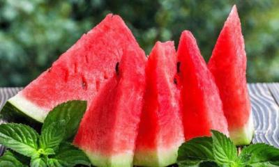 তরমুজের সঙ্গে বা পরে খাবেন না যেসব খাবার