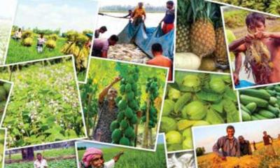২২ ফসল উৎপাদনে শীর্ষ দশে বাংলাদেশ