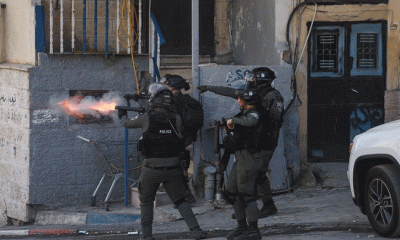 গাজায় ইসরায়েলি তাণ্ডবে নিহত ৩০ হাজার ছুঁই ছুঁই