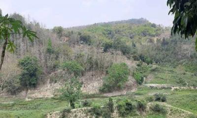 বান্দরবানে কম্বিং অপারেশন শুরু: সেনাপ্রধান