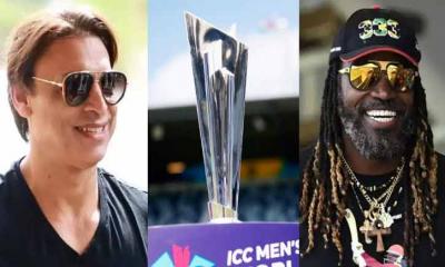 গেইল-শোয়েবদের কাছে এগিয়ে যারা  