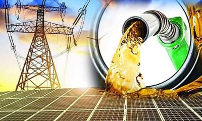 জ্বালানি খাতের ১৬ কোম্পানির প্রাতিষ্ঠানিক বিনিয়োগ বেড়েছে 