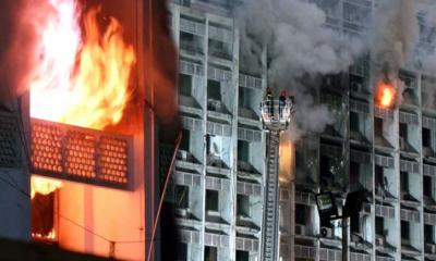 Eng yaxshi orgy porno