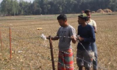 সীমান্তের শূন্যরেখায় ‘বিএসএফ’ এর কাঁটাতারের বেড়া নির্মাণ
