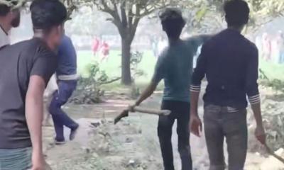 বাংলাদেশে হাত বোমা ছুড়লো ভারতীয়রা, কেটে ফেললো শতাধিক গাছ