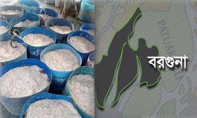 অবৈধ জালে দেদারছে ‘ভুলা চিংড়ি’ শিকার, মরছে অন্য পোনা-জলজ প্রাণী 