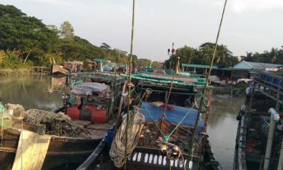 নিষিদ্ধ ট্রলিং বোটে অবাধে মাছ শিকার, দেখা দিয়েছে মাছ সংকট