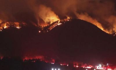তিন দশকের রেকর্ড দাবানলে পুড়ছে জাপান