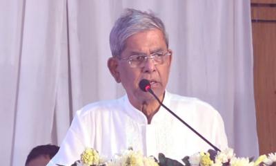 প্রয়োজনে বিএনপি আবার মাঠে নামবে