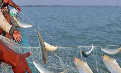 বঙ্গোপসাগরে মাছ ধরায় আসছে নিষেধাজ্ঞা