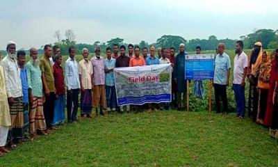 কাঁঠালিয়ায় ‘কৃষক মাঠ’ দিবস অনুষ্ঠিত