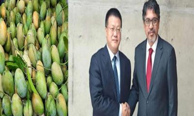 জুন থেকে চীনে আম রপ্তানি শুরু হচ্ছে
