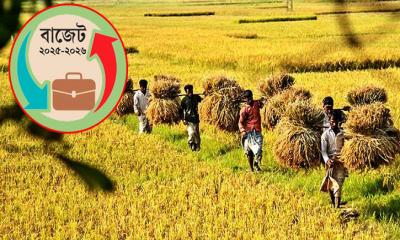 খাদ্য-কৃষিতে বাড়ছে বরাদ্দ