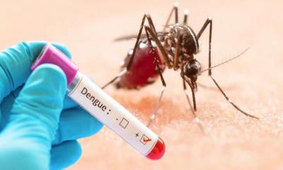 ডেঙ্গুর বড় সংক্রমণের শঙ্কা