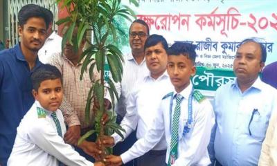 শিক্ষা প্রতিষ্ঠানে ফলজ ও ঔষধি গাছ বিতরণ