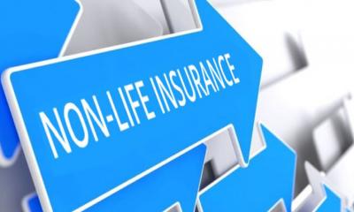 নামমাত্র ৩৬ শতাংশ দাবি পরিশোধ ৮ কোম্পানির