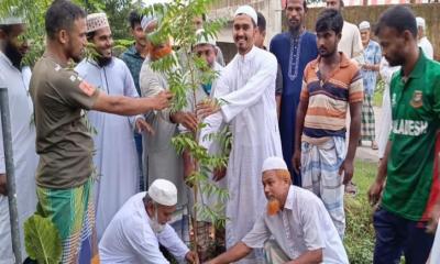 কাঁঠালিয়ায় নিম গাছের চারা রোপন করে দৃষ্টান্ত স্থাপন করলেন তালগাছিয়া মাদ্রাসা