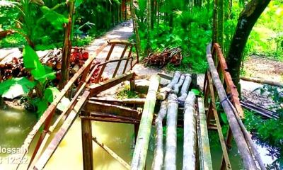 রাজাপুরে ব্রিজের বেহাল দশা, চরম দুর্ভোগে এলাকাবাসী