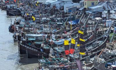 ইলিশ মৌসুমে দুর্যোগের থাবা: লোকসানে জেলে ও আড়ৎদাররা