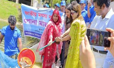 সোনারগাঁয়ে জাতীয় মৎস্য সপ্তাহ উদ্বোধন