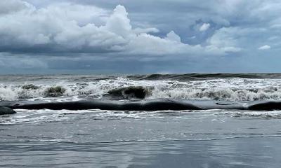 আগামী ২৪ ঘণ্টার মধ্যে লঘুচাপ সৃষ্টির আভাস