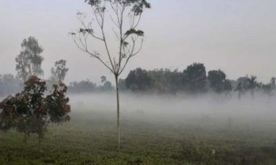 পঞ্চগড়ে তাপমাত্রা নামল ১২ ডিগ্রিতে