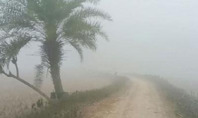 কাঁপছে তেঁতুলিয়া, তাপমাত্রা নেমে ১১ ডিগ্রিতে