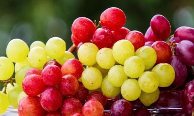 সবুজ নাকি লাল, কোন আঙুর স্বাস্থ্যের জন্য বেশি উপকারী?