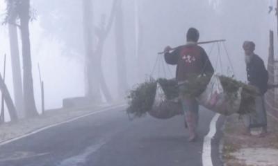 উত্তরে তীব্র শীত, তেঁতুলিয়ায় তাপমাত্রা ৭.৭ ডিগ্রি