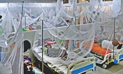 ডেঙ্গুতে আরও ২ জনের মৃত্যু, আক্রান্ত ৯৯৬