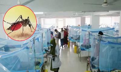 ডেঙ্গুতে আরও ৭ জনের মৃত্যু, আক্রান্ত ১৭৫৩